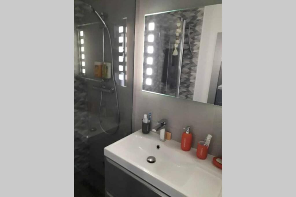 Chaleureux Appart 2 Pieces Entierement Renove. Apartment แซ็งต์-โลร็อง-ดู-วาร์ ภายนอก รูปภาพ
